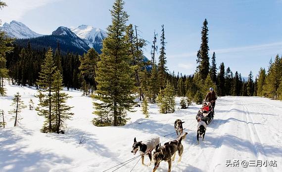 北欧五国之瑞典:永久中立背后的闲情逸致