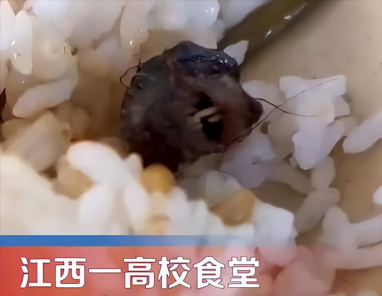 高校舆情事件的预判和处理培训,高校思想政治教学应对舆情