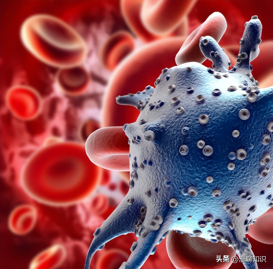 马传染性子宫炎传染性较强，它的传播途径有哪些