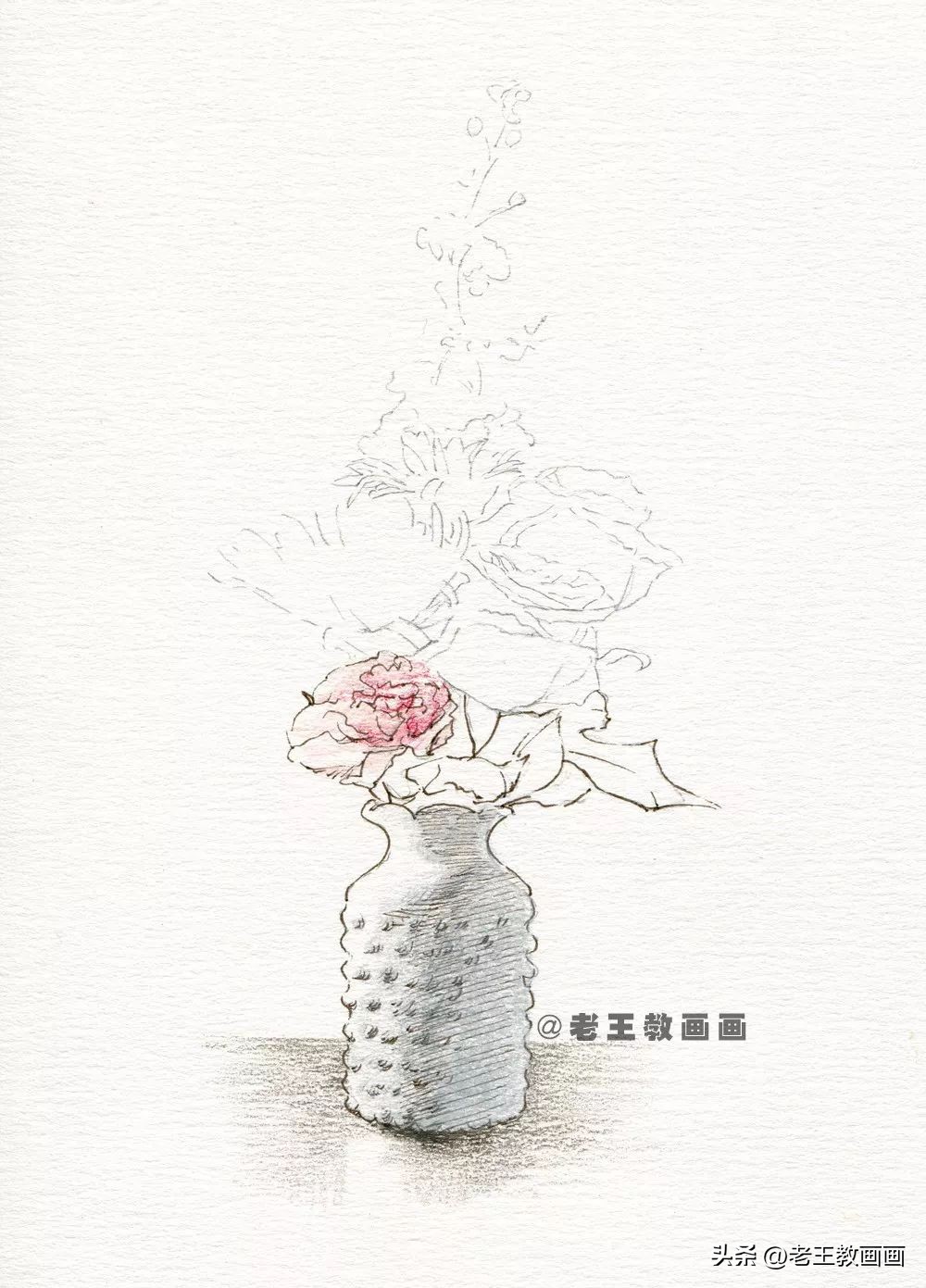 零基础也能学会的彩铅画画,零基础画彩铅画牡丹