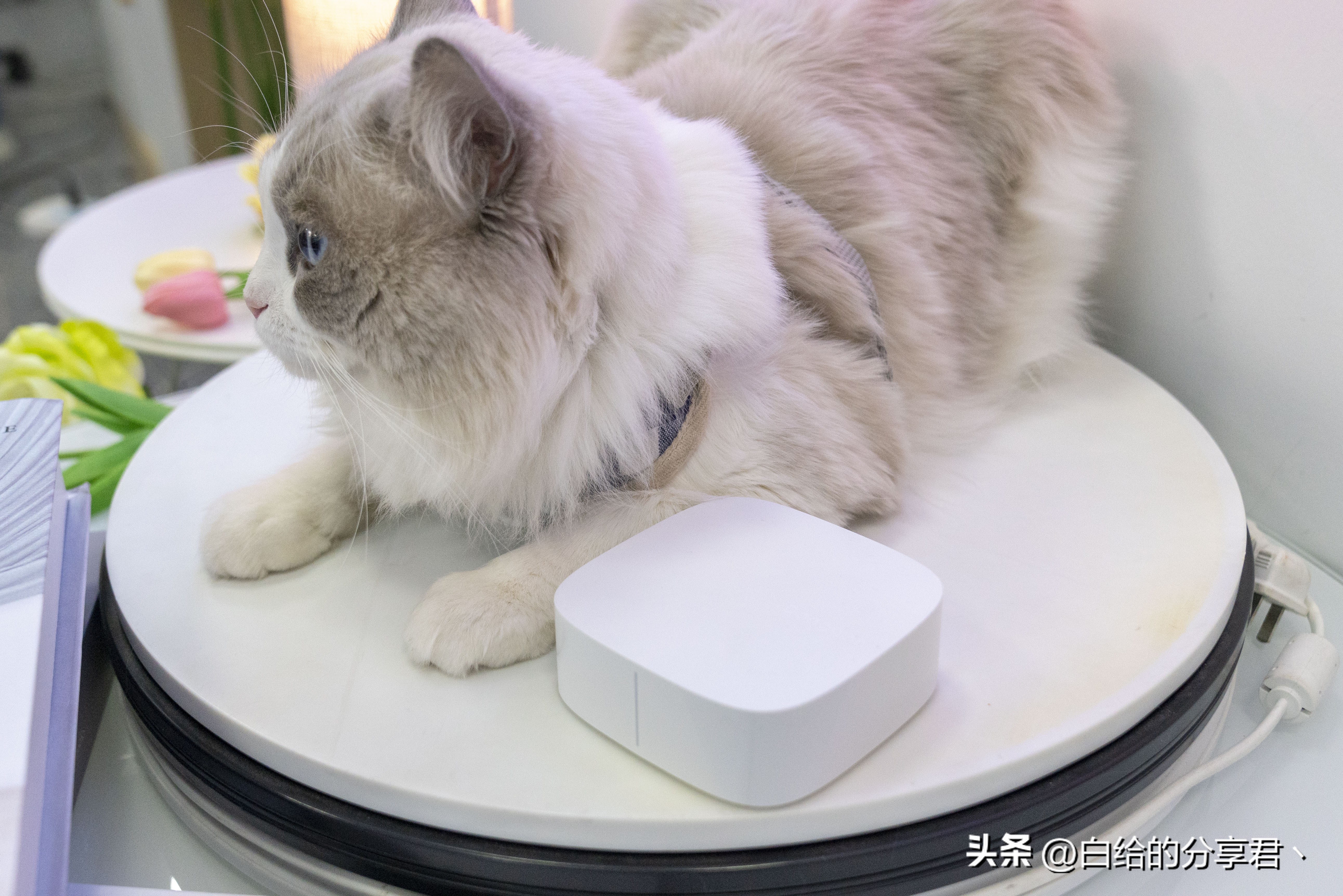 2023电视盒子哪个好用性价比高,2023电视盒子性价比最高的推荐