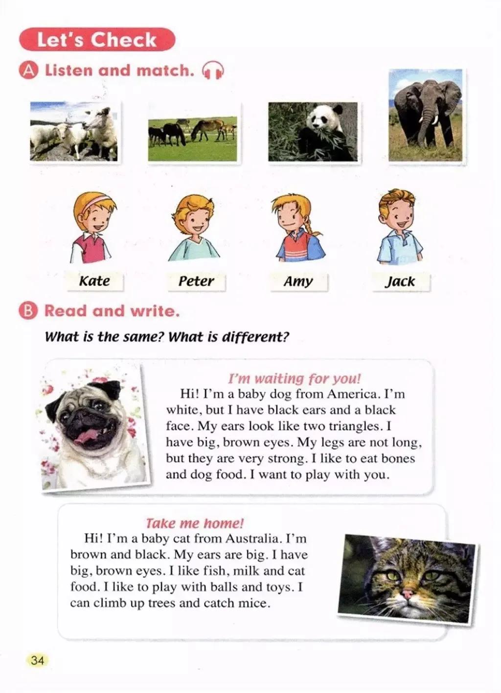 小学英语五年级上册电子课本,小学一年级英语课本电子书