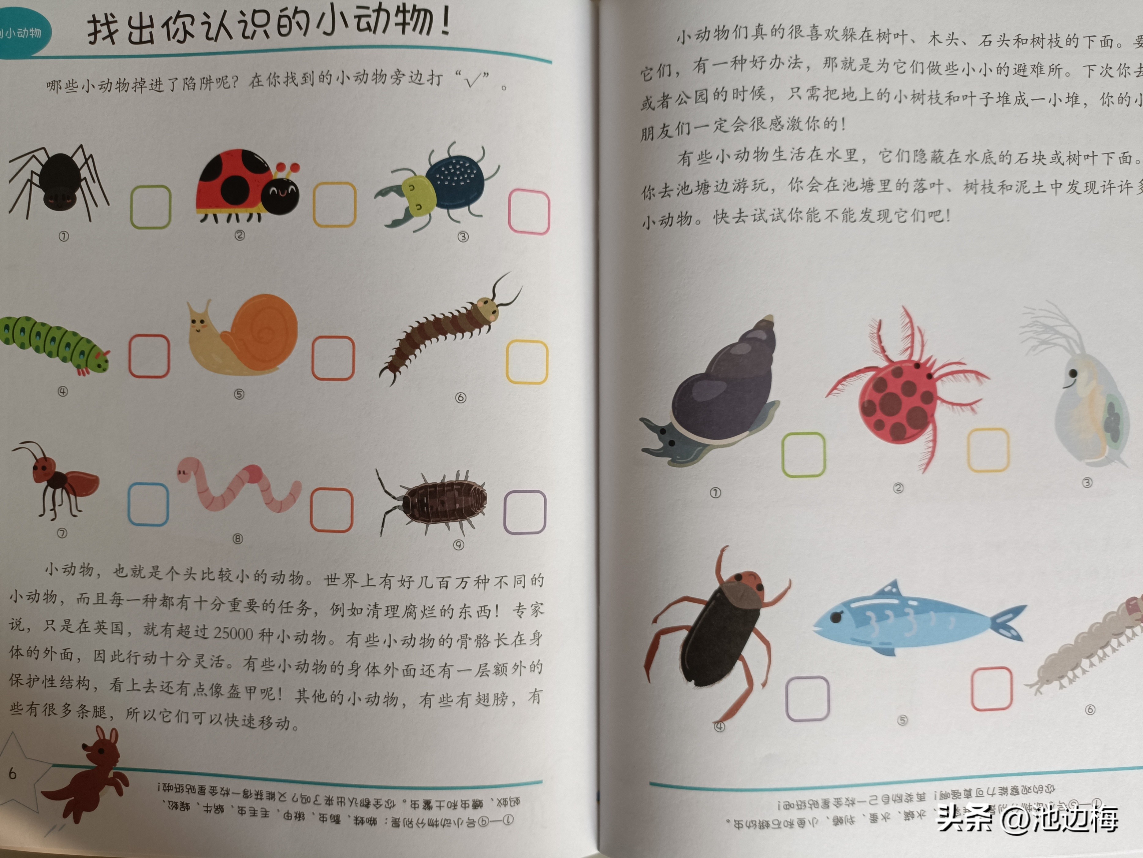 《一起来探秘：只写了一半的科学问答游戏书》：过年送礼就它了