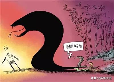 莽山烙铁头17.7公斤是真的吗,莽山烙铁头5000一条是真的吗