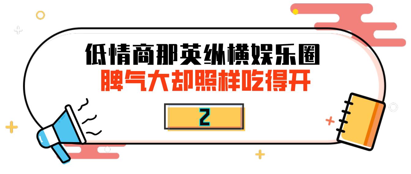 那英怒踹粉丝,那英当众踹粉丝惹争议