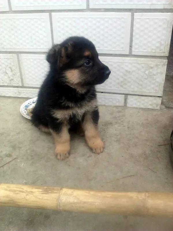 世上只有妈妈好爸爸也不错,世上只有妈妈好爸爸不好吗