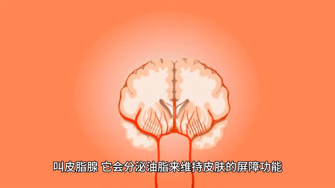 为什么脸部皮肤会发炎,为什么脸部皮肤不如身上皮肤好