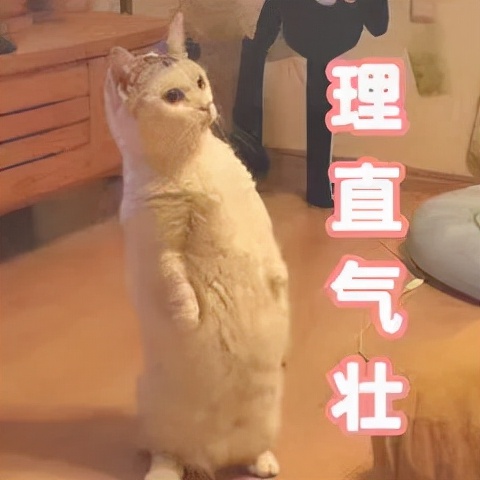 经期怎么吃不长肉是真的吗,经期吃得多不易长胖真的吗