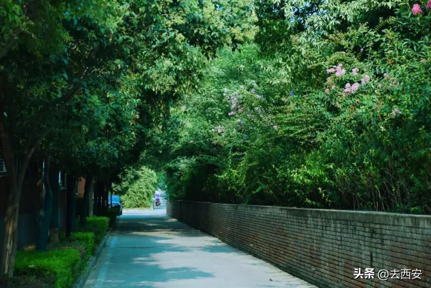 欧亚学院和西北大学,欧亚学院和西安理工大学哪个好