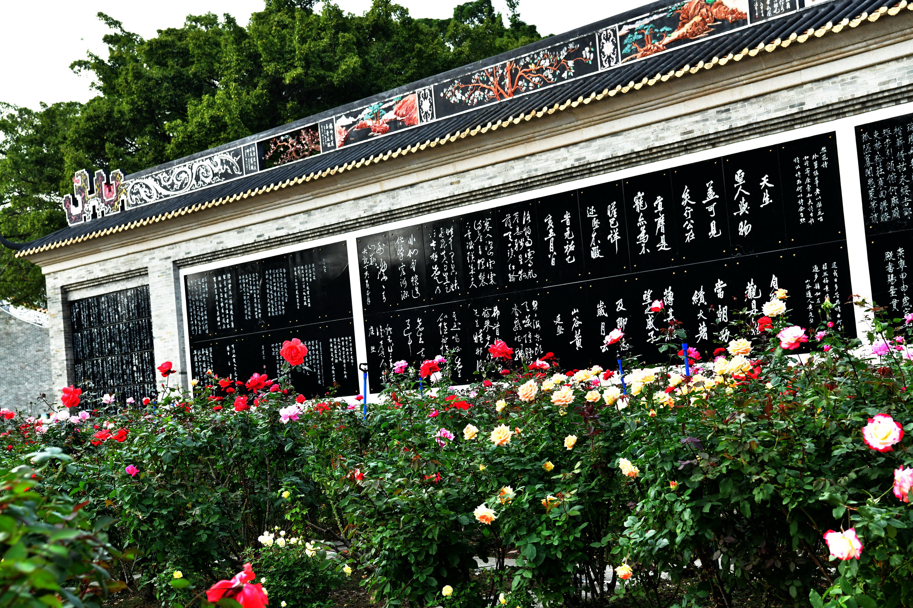 广州市番禺区宝墨园攻略,广州宝墨园景观