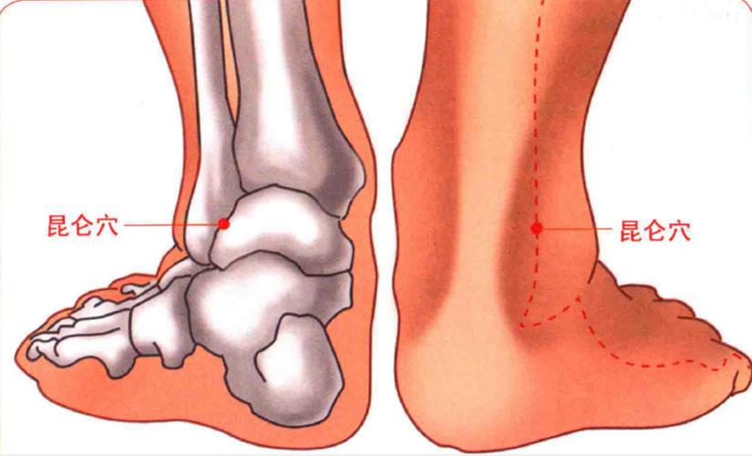 昆仑穴——调理“脚踝扭伤、足跟痛、脊柱侧弯”要穴