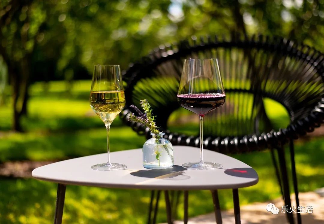 上海开业10个月获米其林餐厅,巴黎开业20年的米其林三星餐厅