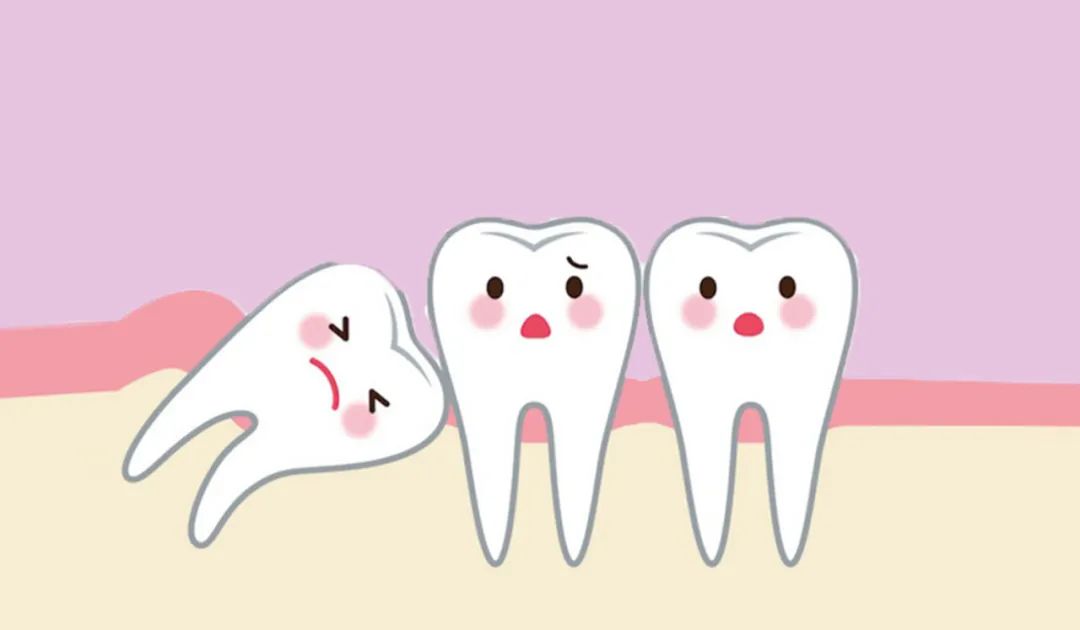 对于牙齿的认识,牙齿有多重要也许你根本不知道