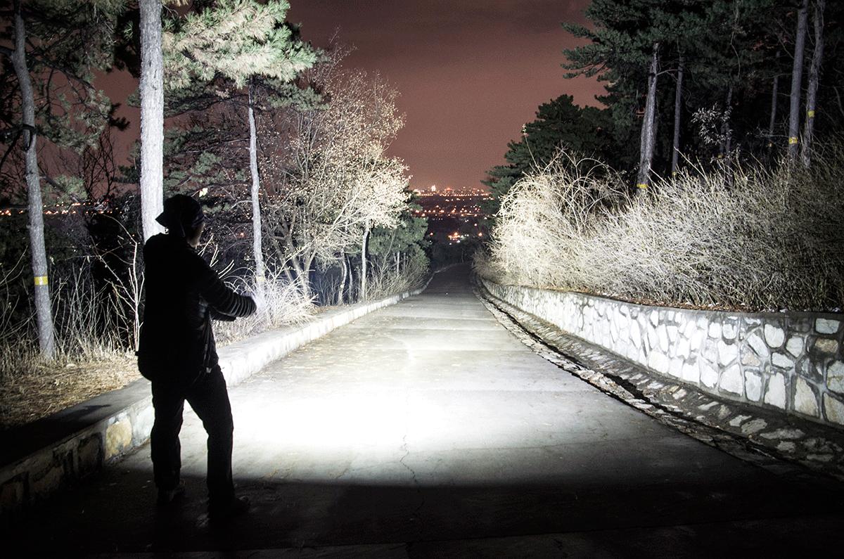 阳彩臂金龟已经灭绝了吗,阳彩臂金龟真的灭绝了没