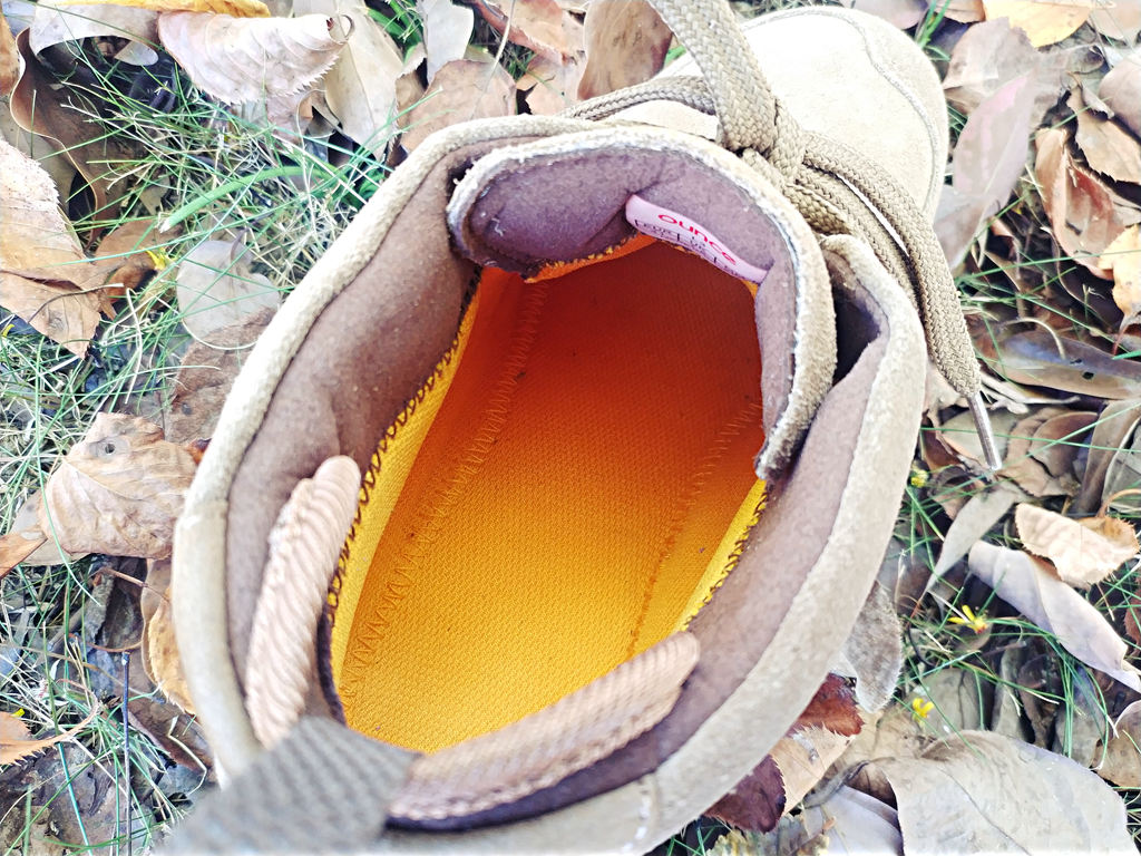 閬ㄦ父浠昹3鍜宭3n,閬ㄦ父浠曠櫥灞遍瀷l3鍜宭1