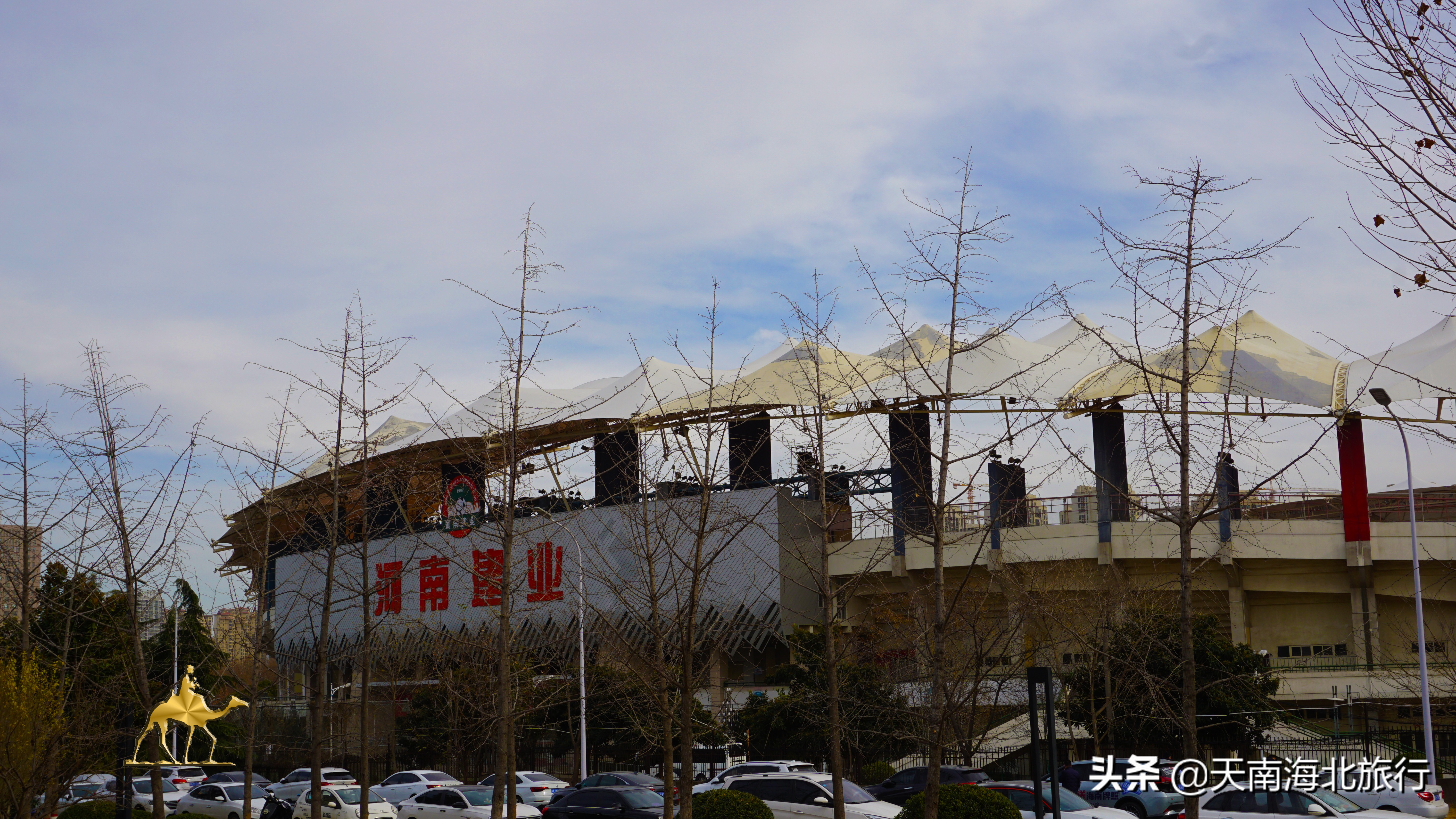 郑州，砂石、草坪、垂钓、运动、咖啡、图书馆……带孩可以玩一天