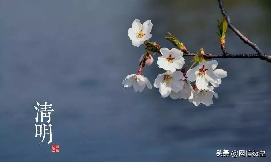 有关清明节的诗词精选,清明节古诗词及名句