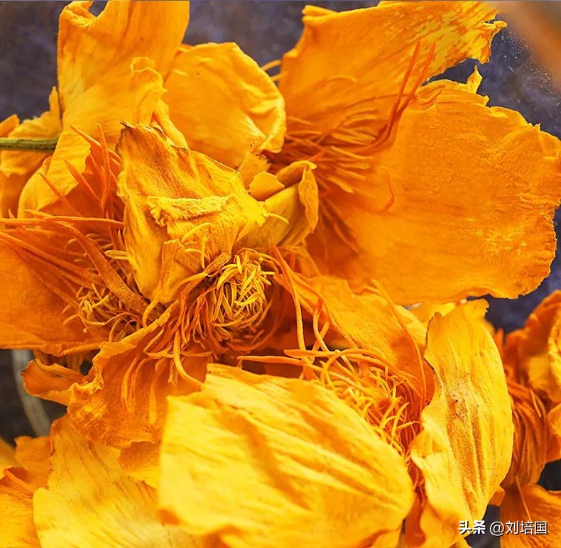 蒙特涮府自助,蒙特涮府怎么样