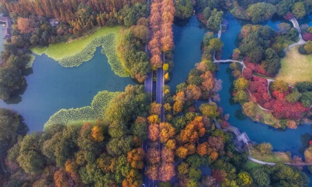 秋天落叶的诗句唯美短句,适合秋天发朋友圈的赞美秋天的诗