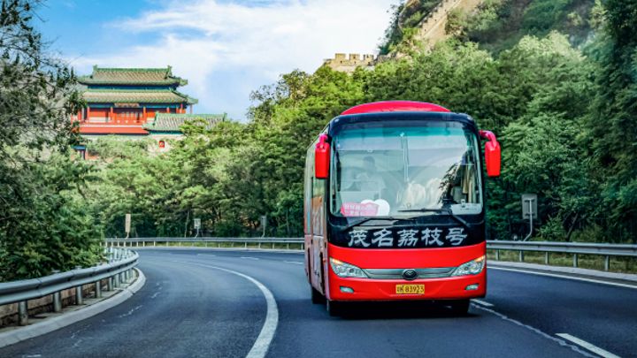 茂名当地出名的荔枝品牌,高州荔枝百亿品牌
