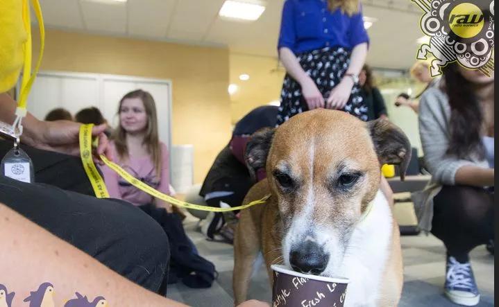 在华威大学本硕连读是一种什么体验?