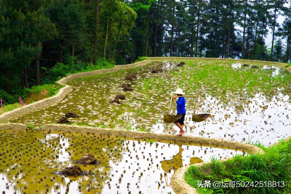 退一步海阔天空真的可以吗,退一步海阔天空的上一句是什么