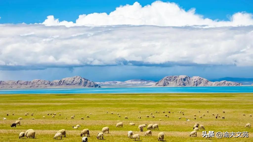 子思主要思想,子思的主要思想