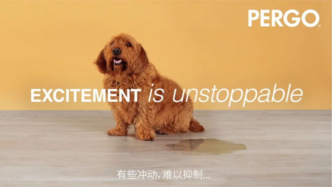 全球复合地板鼻祖、手握500+专利,买地板必看的硬核品牌