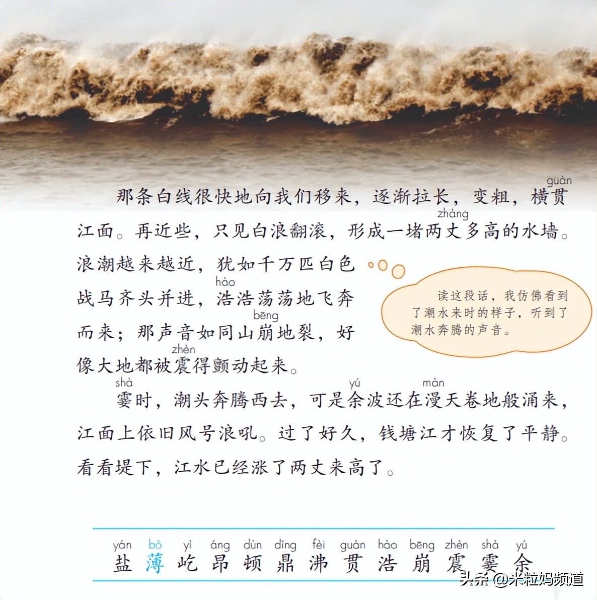 最强名师阵容,名师阵容