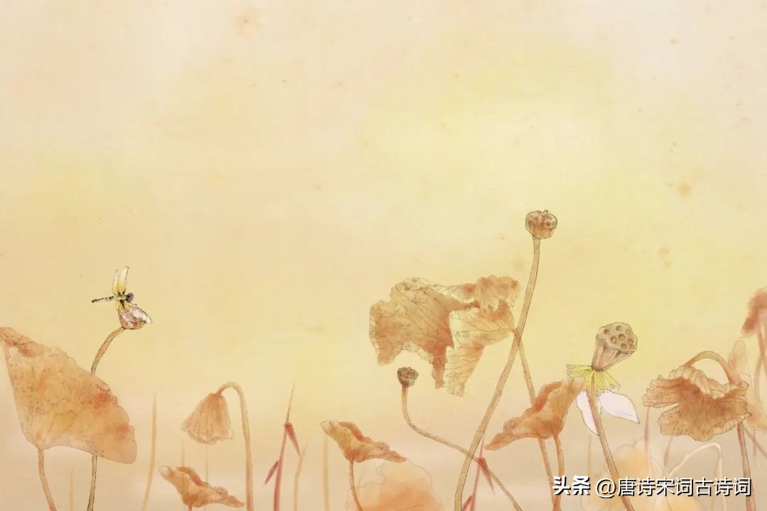 世间难逃物是与人非,请君多珍重