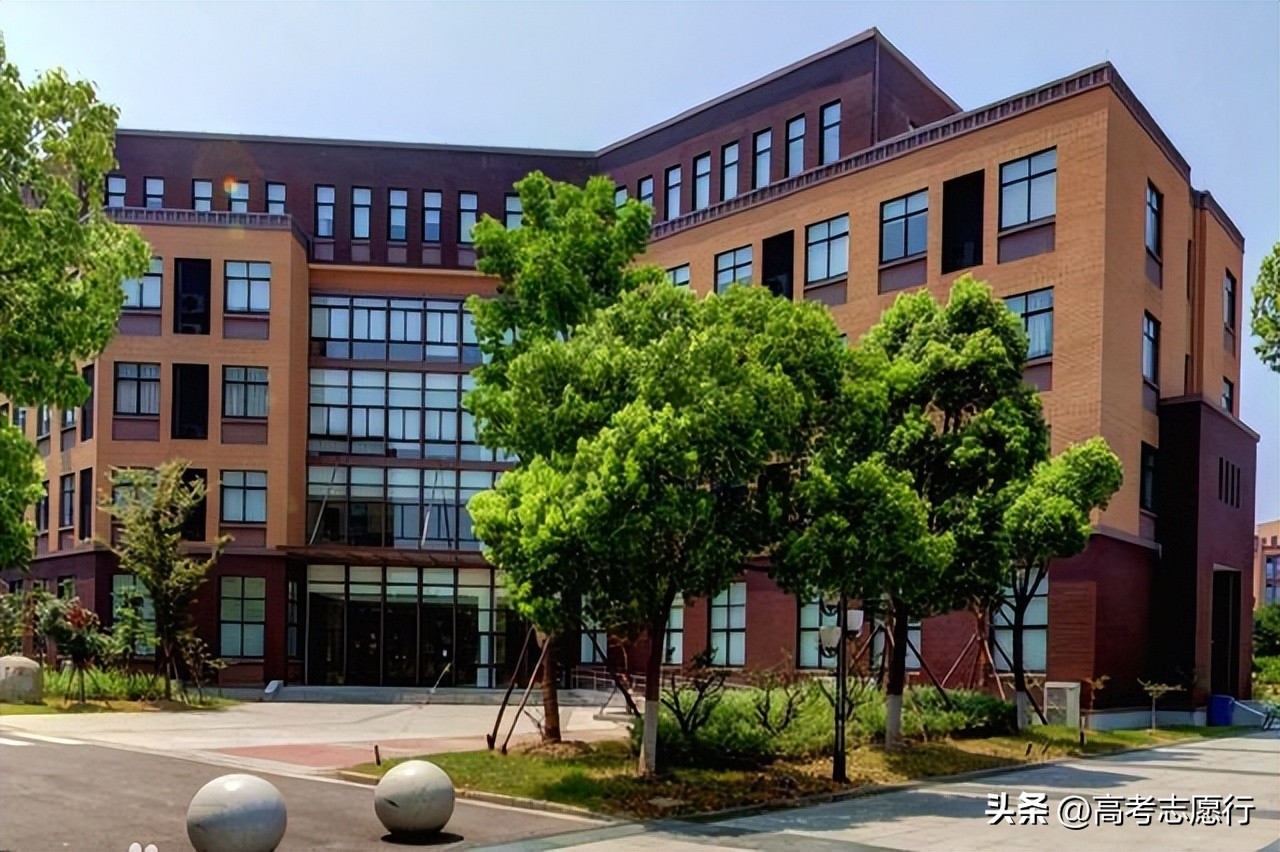 不起眼的本科大学,不起眼的高校