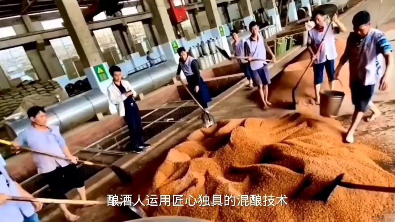 全智能白酒酿酒机,全自动白酒酿酒设备一体机家用