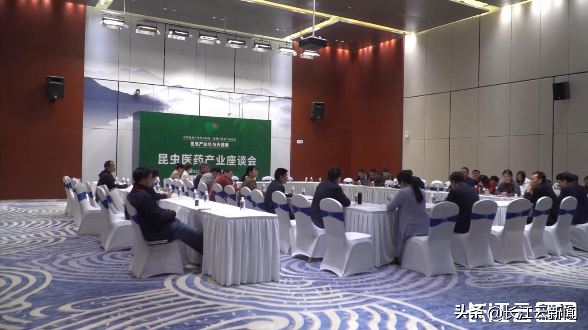 最贵的小昆虫,最贵的十大昆虫价格