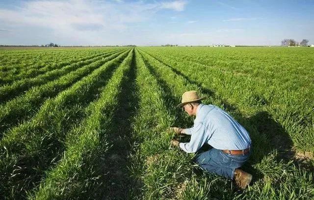 这几种东西切记千万不要吃,今年千万不要吃这2个地方的东西
