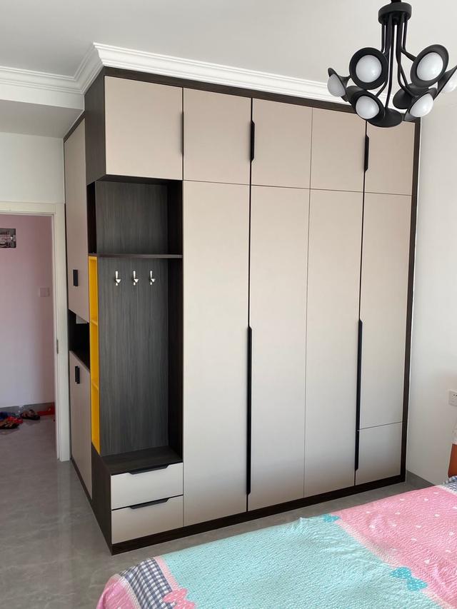 国内爱格板衣柜多少钱一张,进口爱格板大衣柜