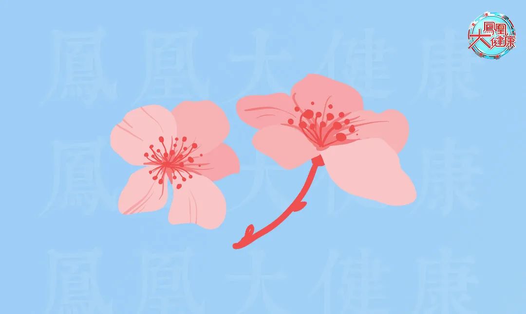 气血不足老得快教你一招延缓衰老,促进血液循环的代茶饮