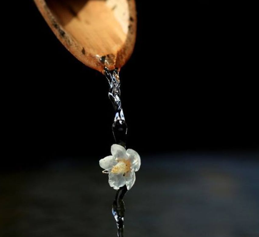 生活没有捷径只能一步一个脚印,生活有捷径