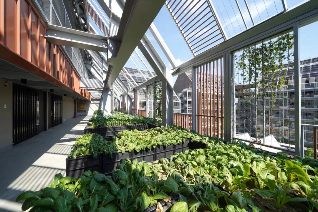 零碳排、零废弃、以租代售的模块化新型小区，还能种菜养鱼