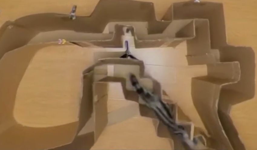 液体猫究竟是怎么一回事儿？原来它3000万年只干这一件事