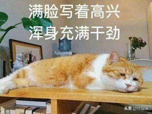 2023年最新的百万医疗险榜单，扛把子换人啦~