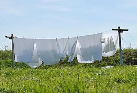 洗衣服的正确方法及顺序文字,这才是洗衣服的正确姿势