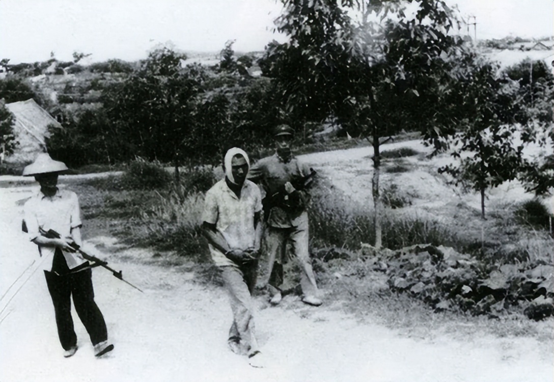 鍙版咕鐗瑰姟,鍙版咕鐗瑰姟鐜扮姸