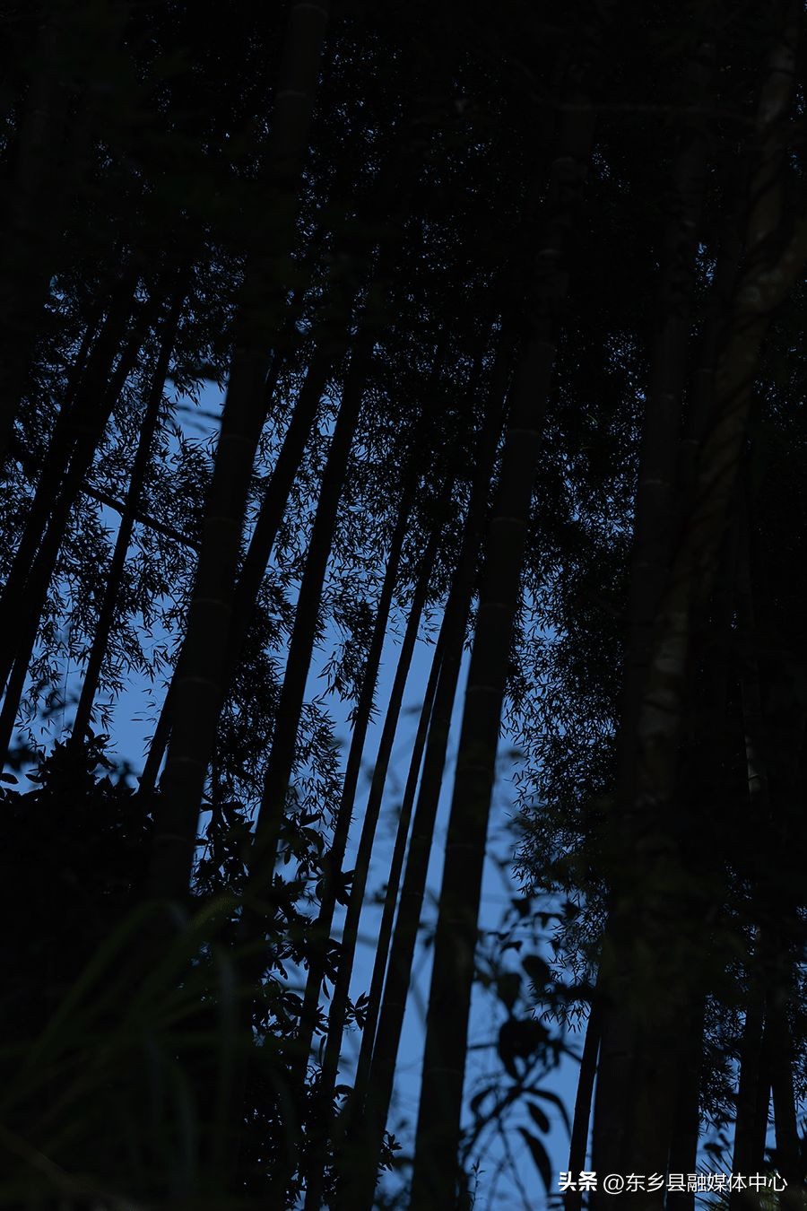 秋天丰收的雅称大全,秋天的雅称有哪几种