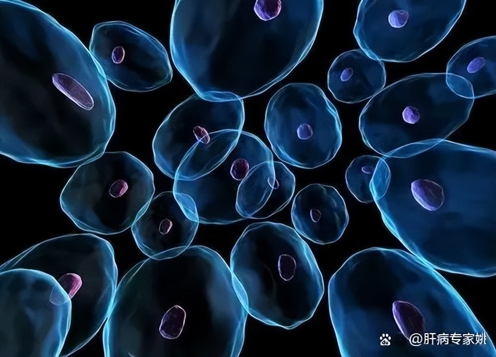 中医上与肝有关的疾病有哪些,治肝病哪种中成药不伤肝