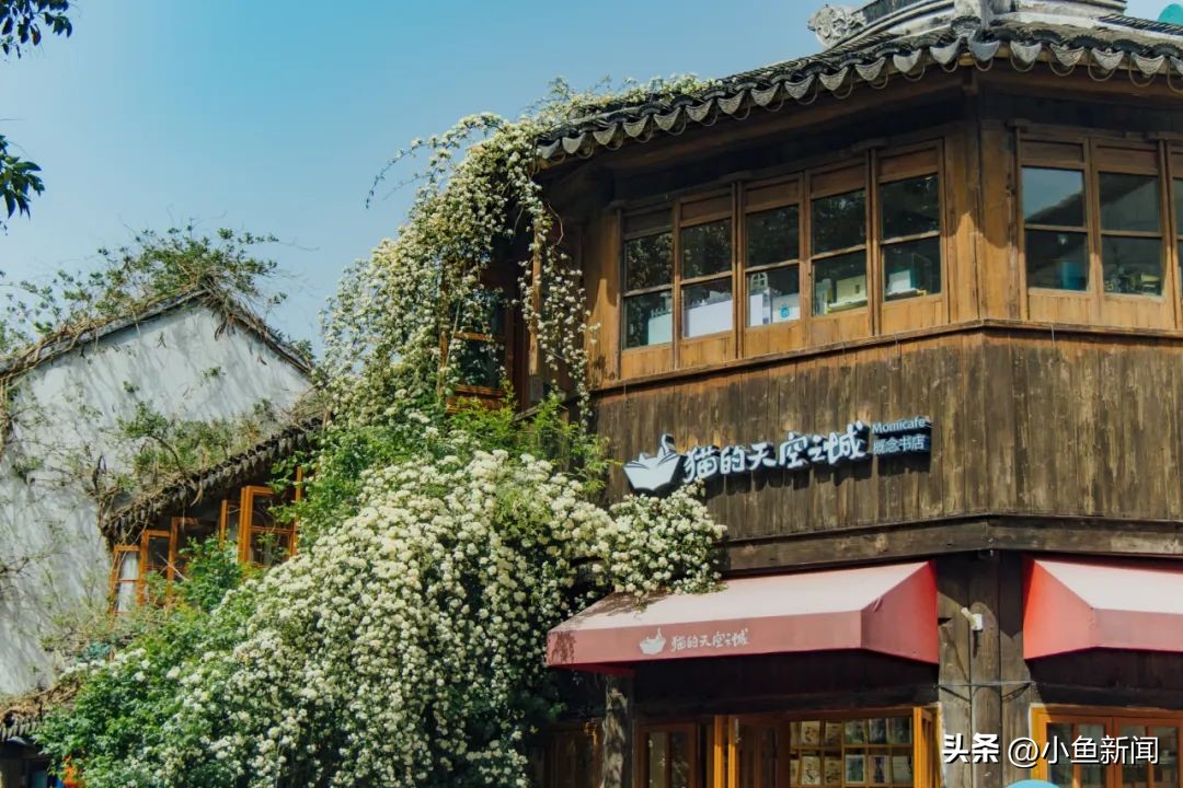 出发！跟着“荷仙姑”寻踪平江路