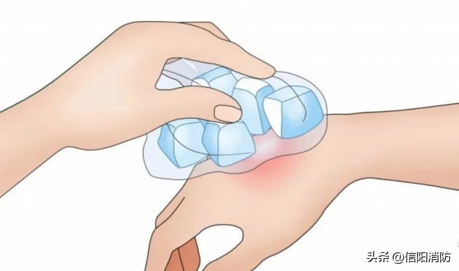 夏季到来当心蛇出没,夏季提防虫子