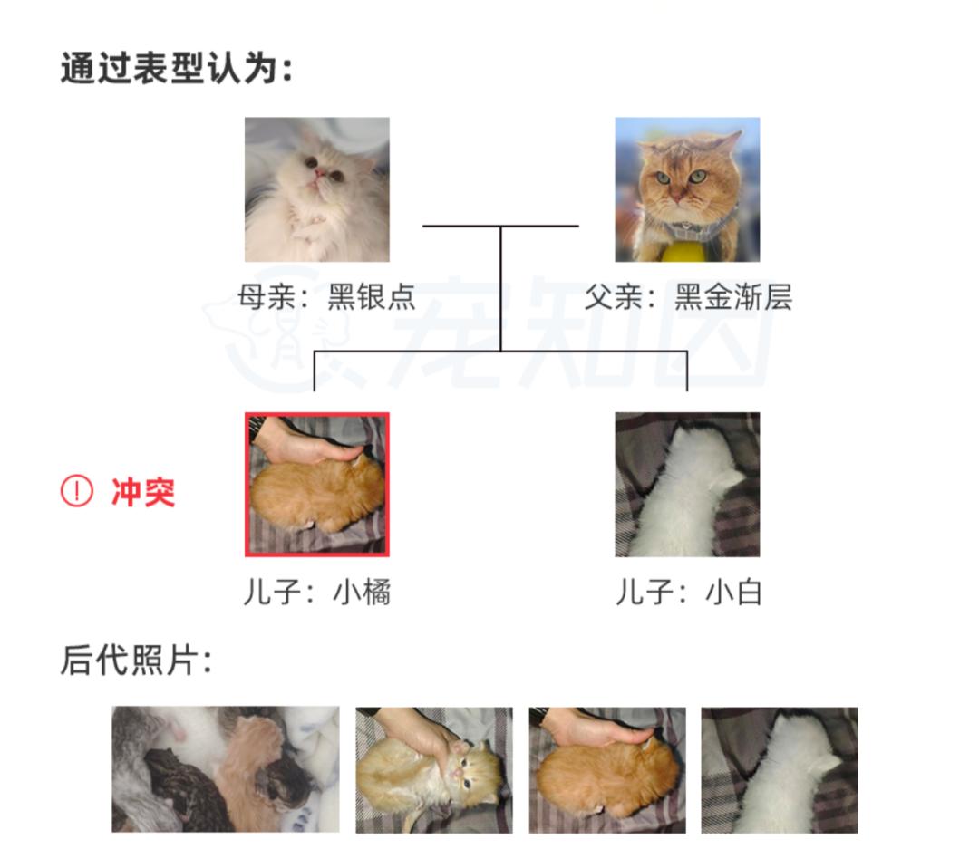 基因克隆最新突破,基因最新突破