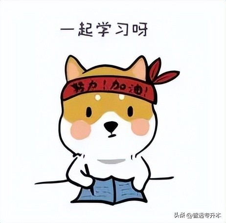 挂科多了会有什么后果,最容易导致挂科的4个细节