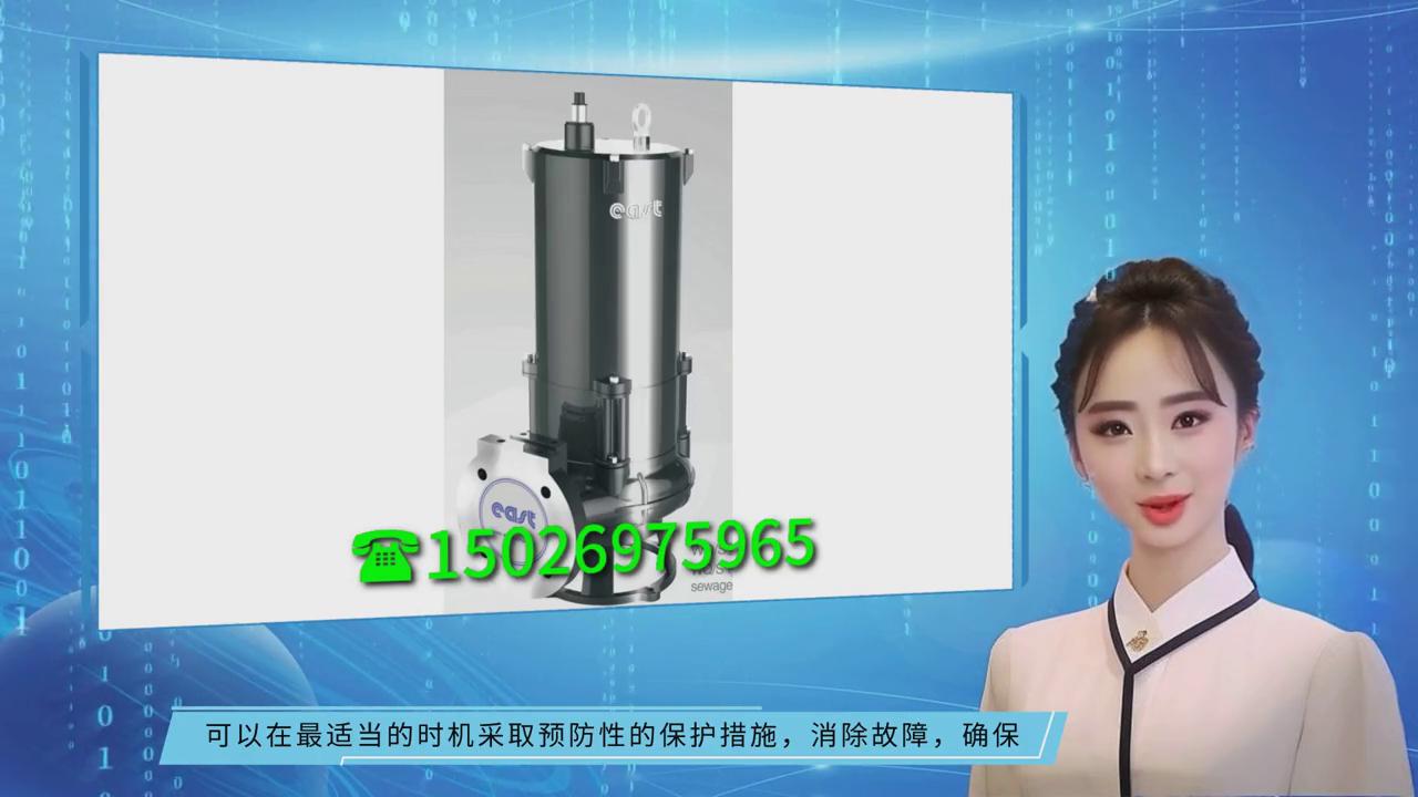 上海东方泵业潜水排污泵,上海东方hq潜水污水泵