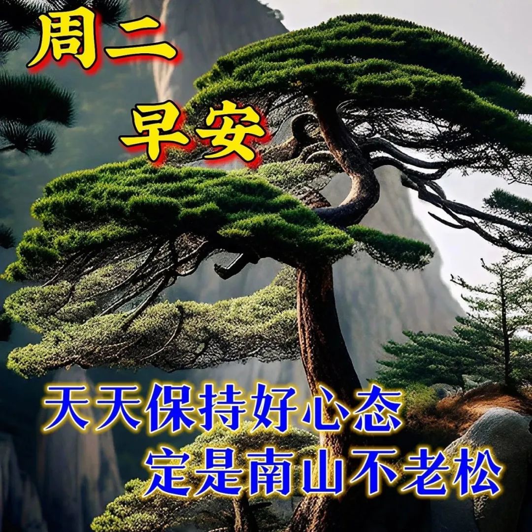 早安经典语录语句图片,早安经典语录及图片